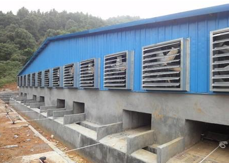 豬棚建設